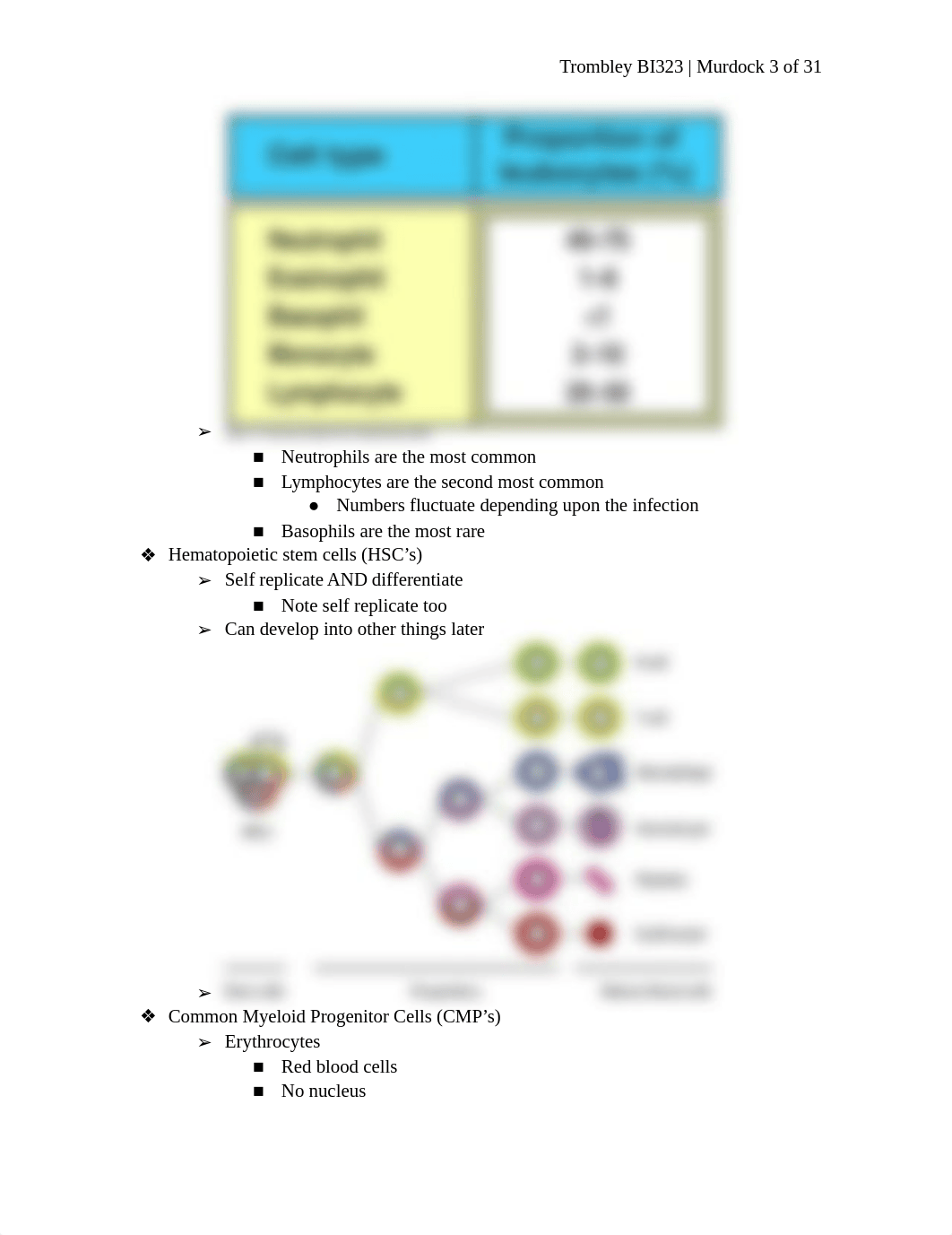 2. Cells of the Immune System.docx_dlkdkg5w9jc_page3