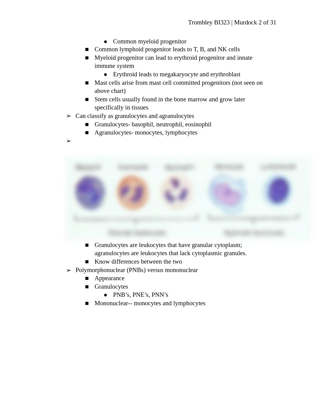 2. Cells of the Immune System.docx_dlkdkg5w9jc_page2