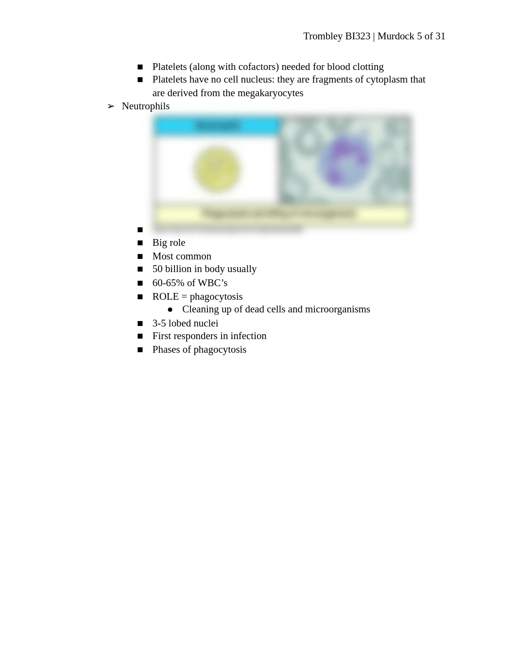 2. Cells of the Immune System.docx_dlkdkg5w9jc_page5