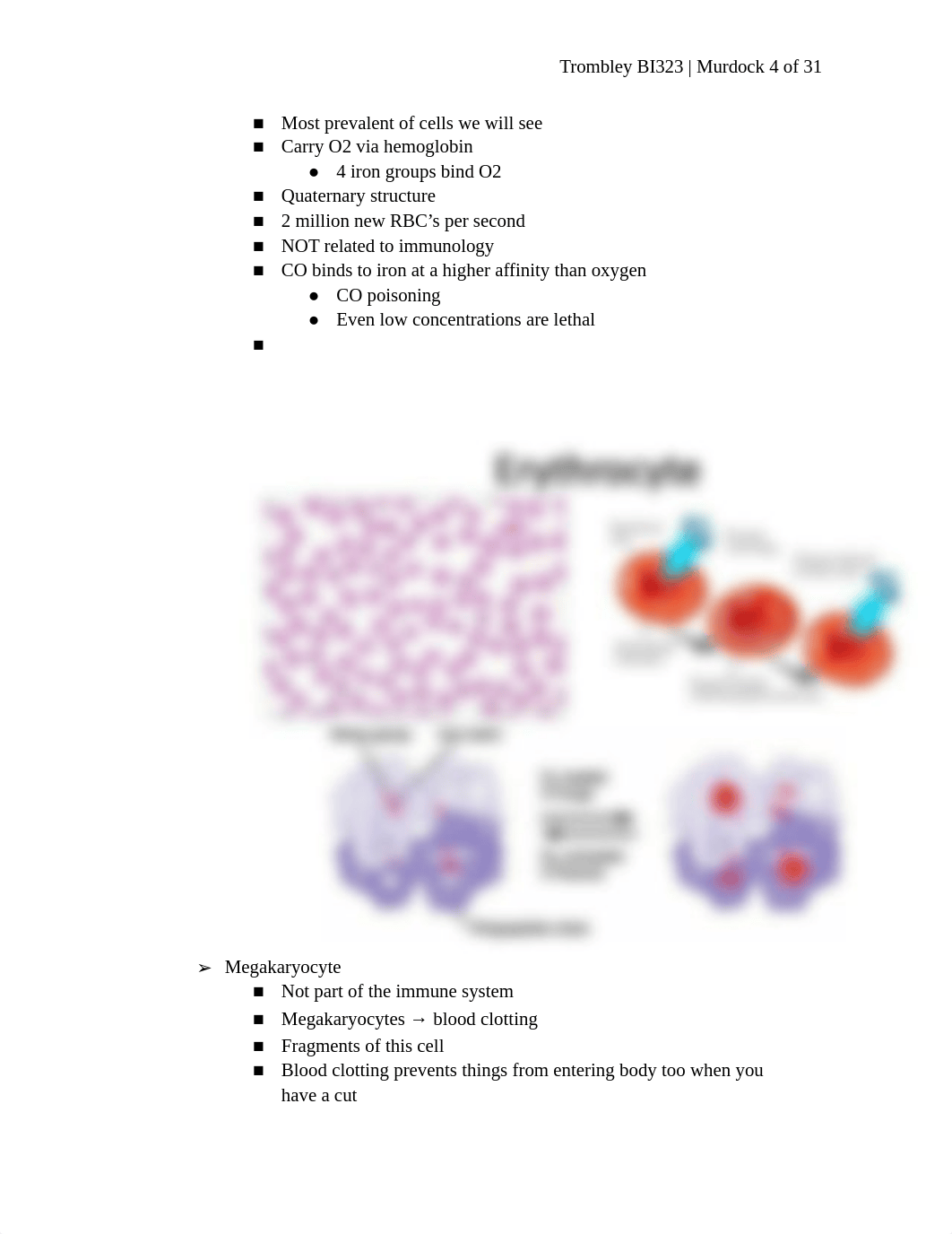 2. Cells of the Immune System.docx_dlkdkg5w9jc_page4