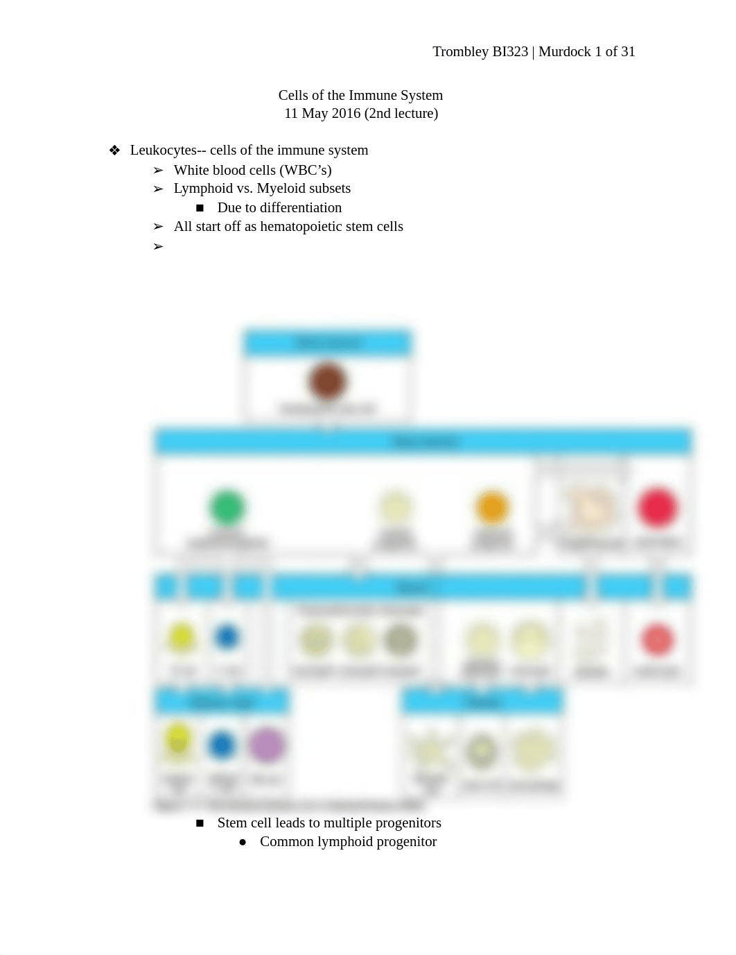 2. Cells of the Immune System.docx_dlkdkg5w9jc_page1