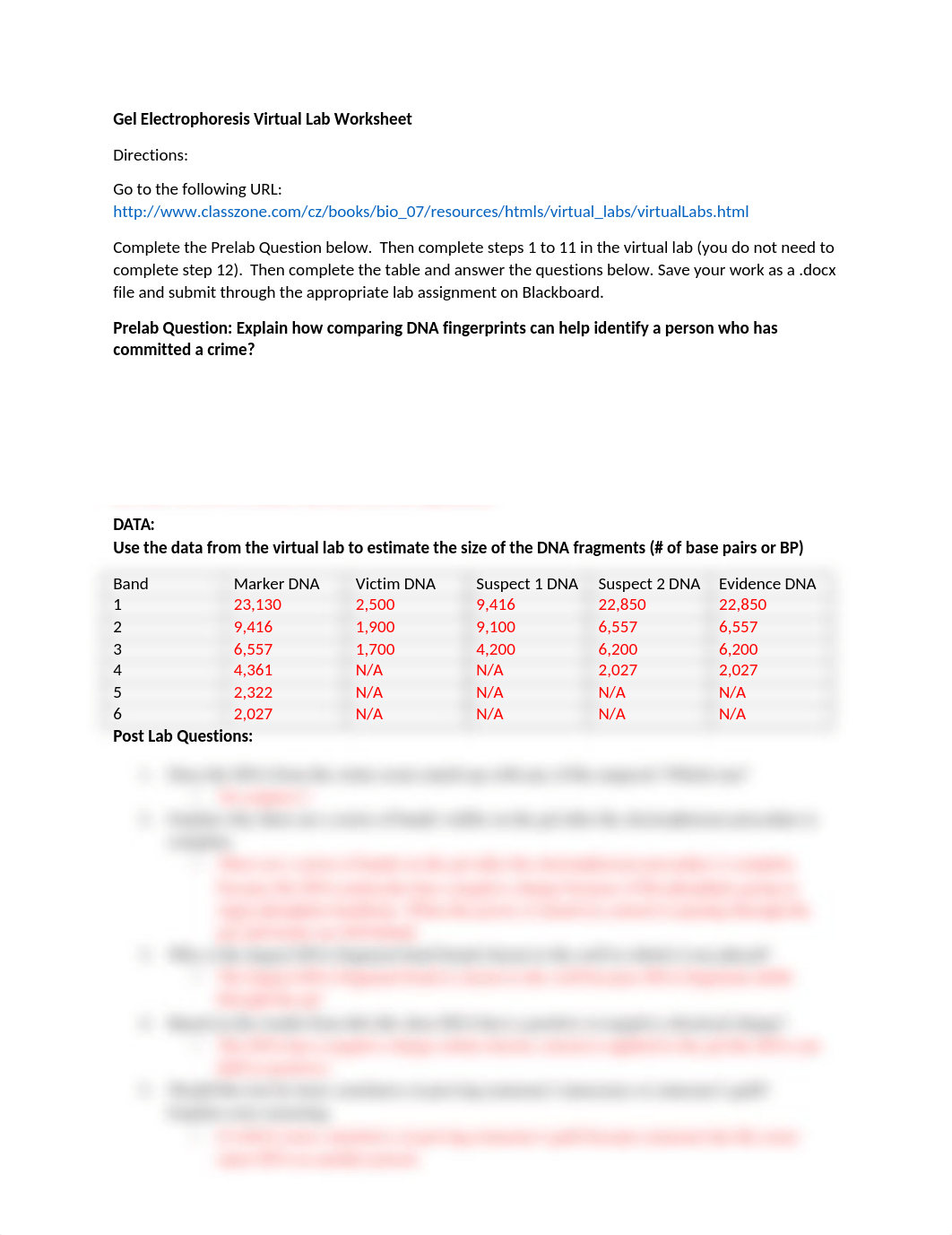 Hailey- Lab5CDNAFingerprinting(Electrophoresis).docx_dlkpmr6vrkg_page1