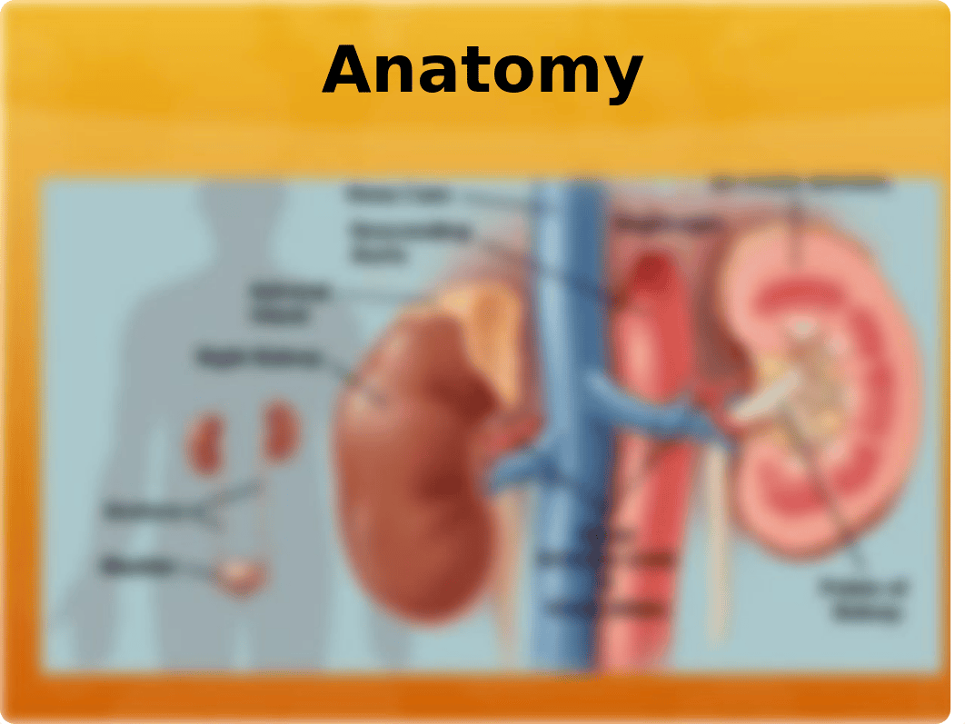 Urinary System_dlktfjyf3eh_page5