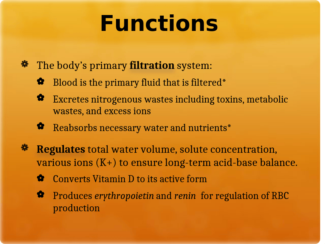 Urinary System_dlktfjyf3eh_page4