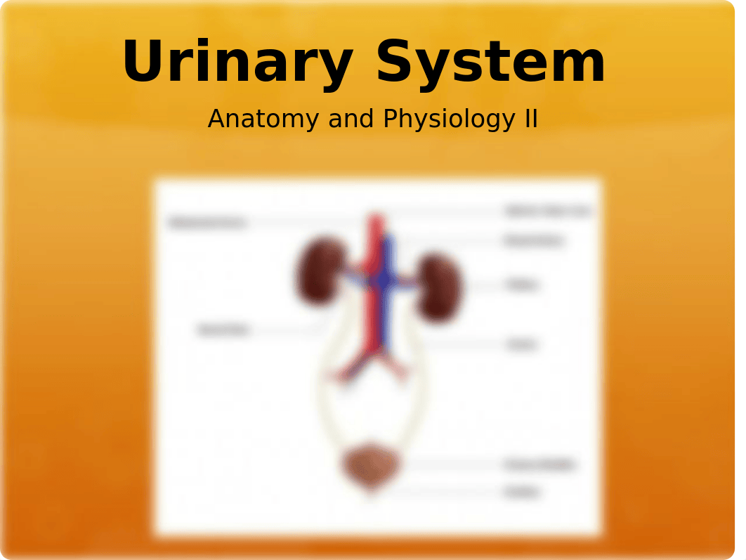 Urinary System_dlktfjyf3eh_page1