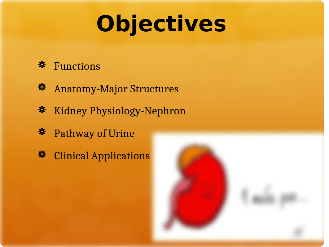 Urinary System_dlktfjyf3eh_page2