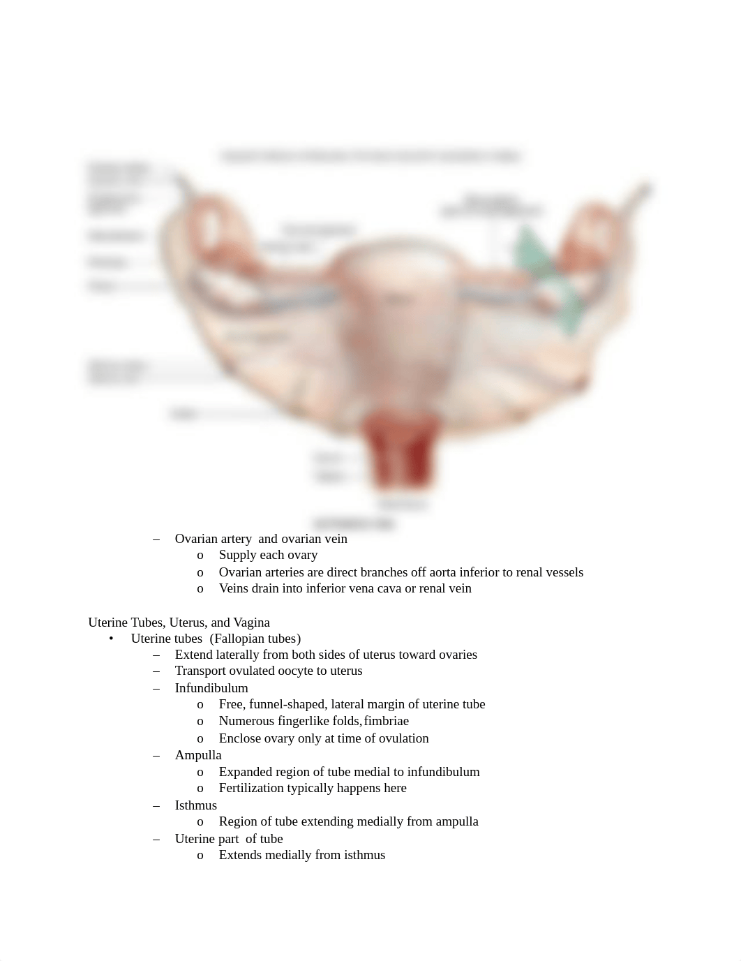 Chapter 28 Reproductive System.docx_dlky3l3mqlw_page3