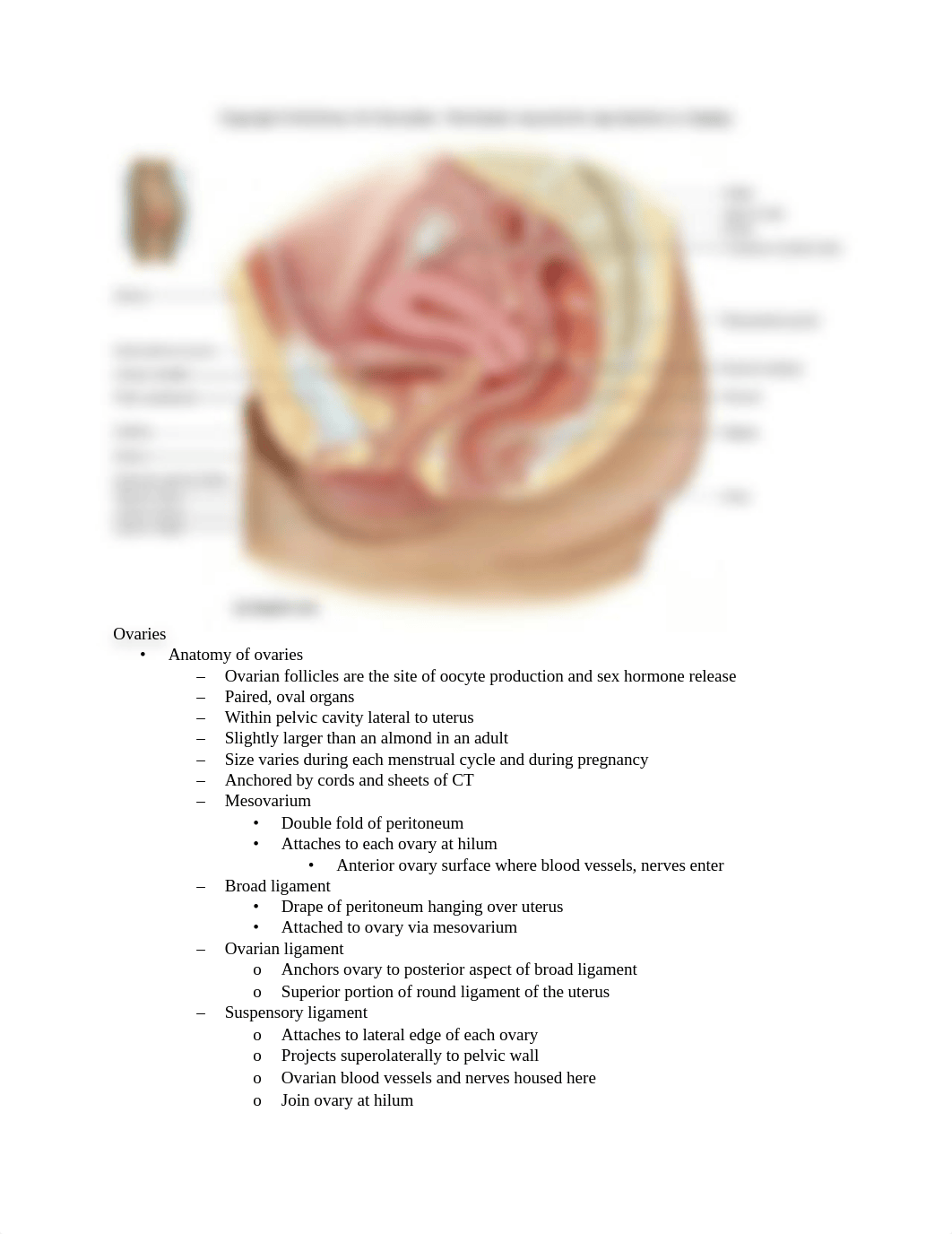 Chapter 28 Reproductive System.docx_dlky3l3mqlw_page2