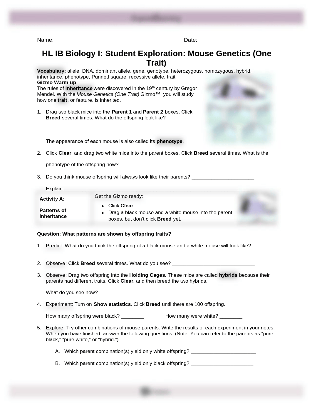 genetics_gizmo_mousegenetics2se.doc_dlle3d4y4hr_page1