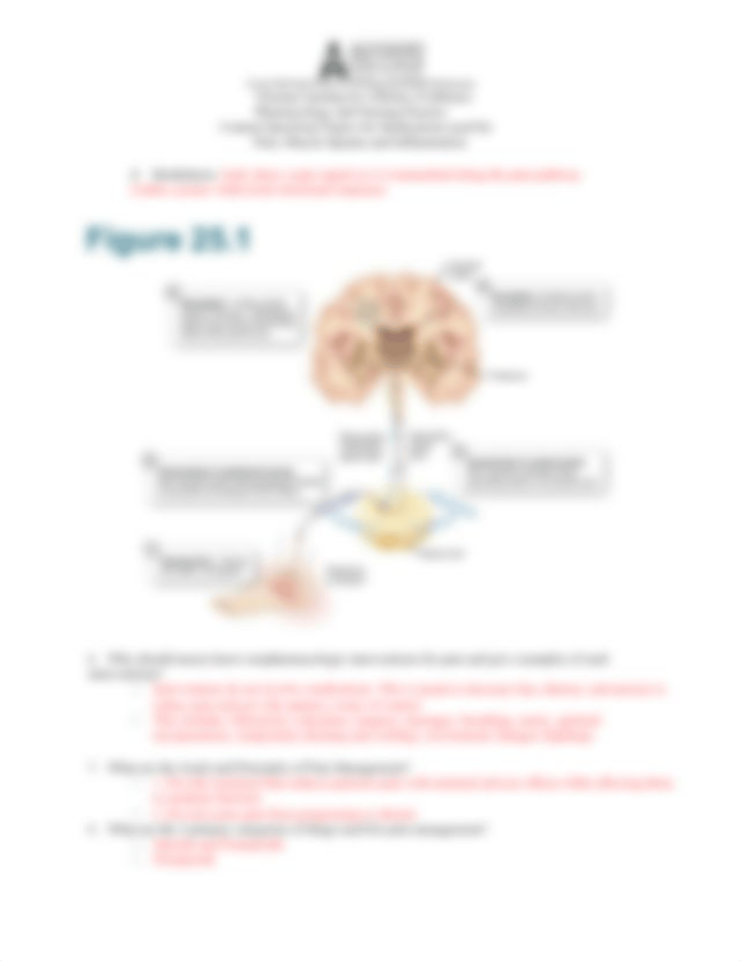 Content Questions Pain, Muscle Spasm and Inflammatory Medications.docx_dlljt0w93rb_page2