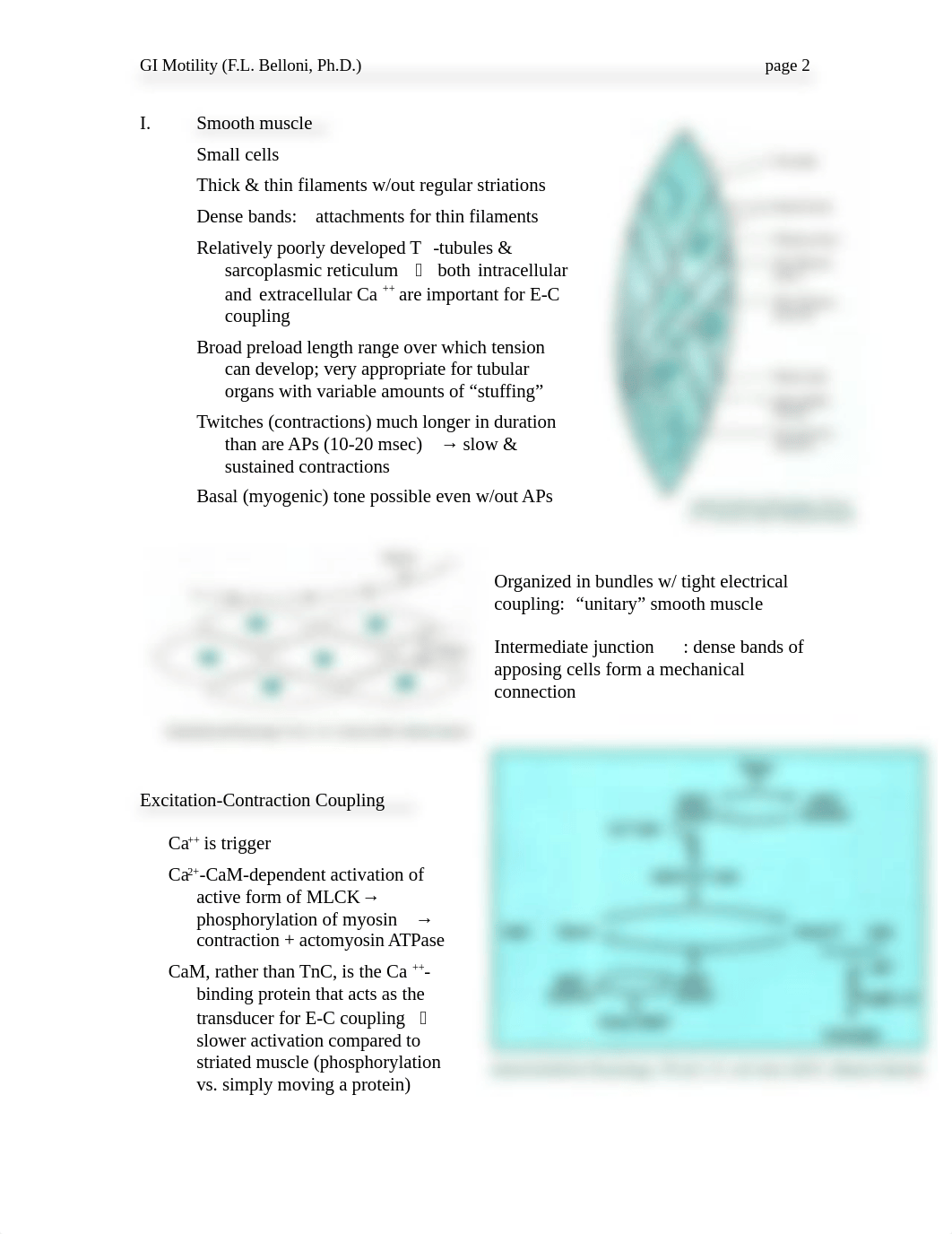 GI_Motility_HANDOUT-133574.docx_dllxxwf7o12_page2