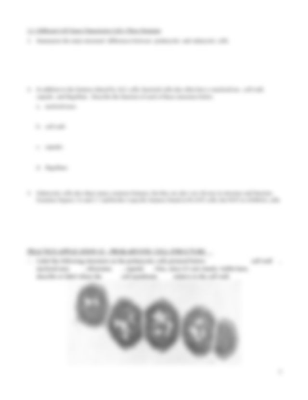 READING GUIDE--CH. 3.1-3.2, 3.4-3.5 CELL STRUCTURE AND ORGANELLE FUNCTION.docx_dlm8v6w0k84_page2