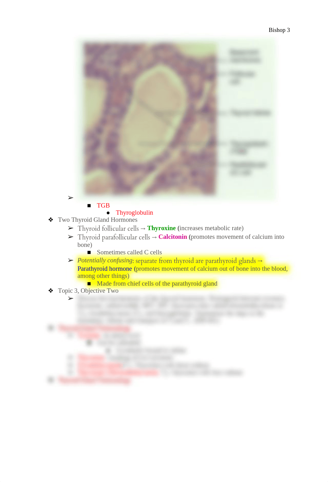 Topic 3: Thyroid Gland and Parathyroid Glands_dlmm0r9ygta_page3