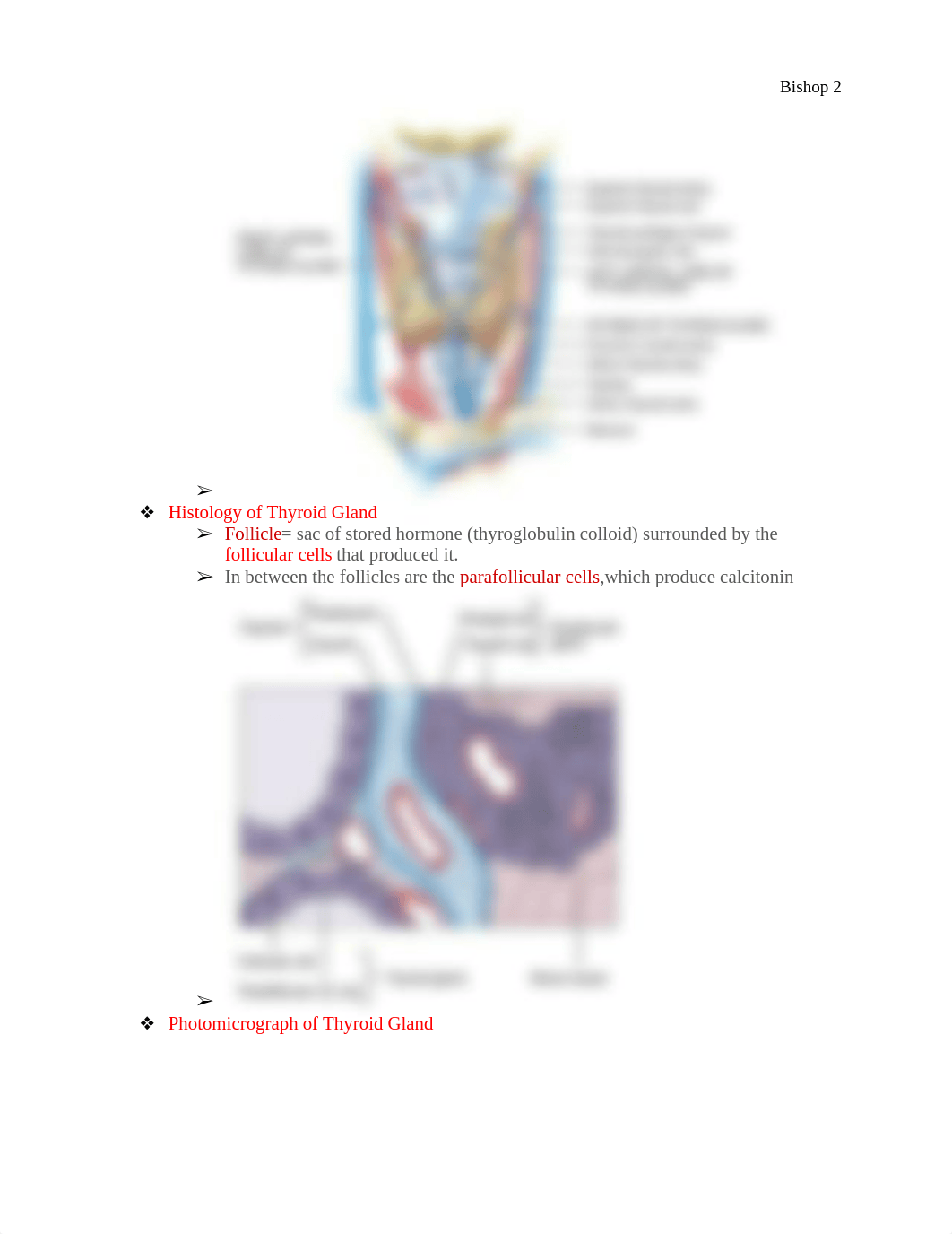 Topic 3: Thyroid Gland and Parathyroid Glands_dlmm0r9ygta_page2