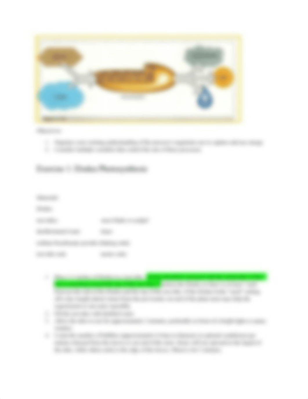 Lab 06-Cellular Respiration and Fermentation.docx_dlmu3ct72oq_page3