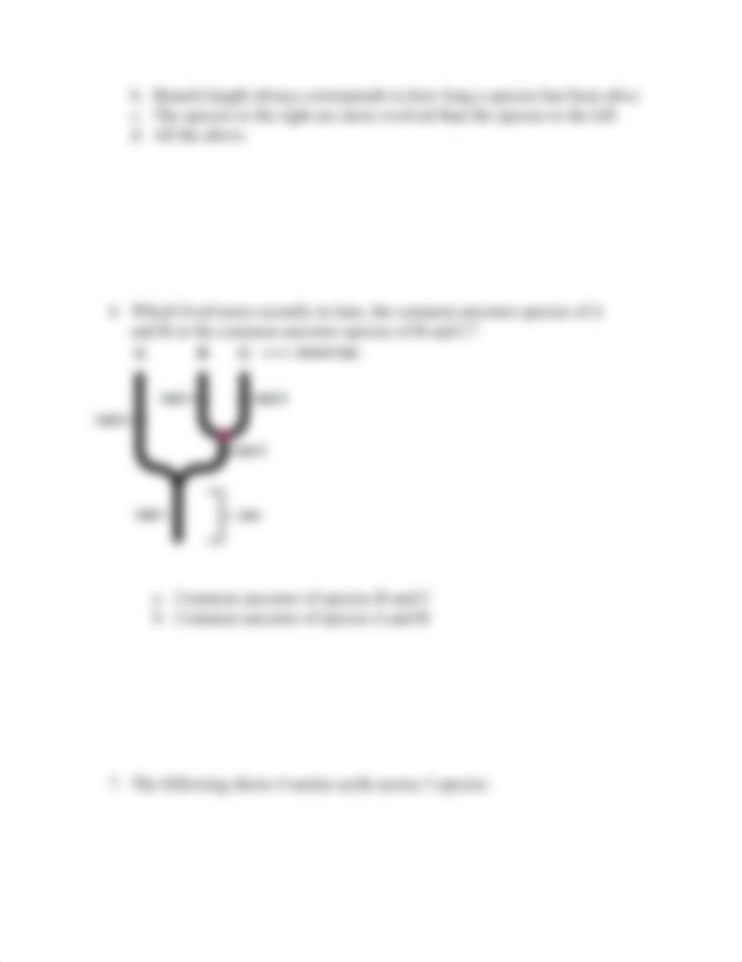 Laboratory Assignment #9_Flowers & Trees.docx_dlmy8m4o9fa_page3