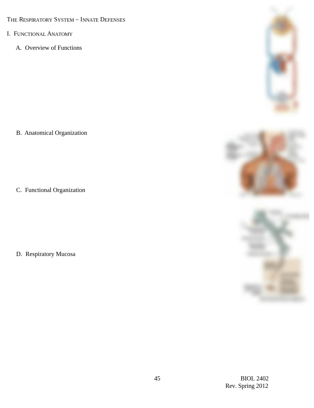 BIOL 2402 NOTES Respiratory System 031912_dlnj0d2tahj_page1