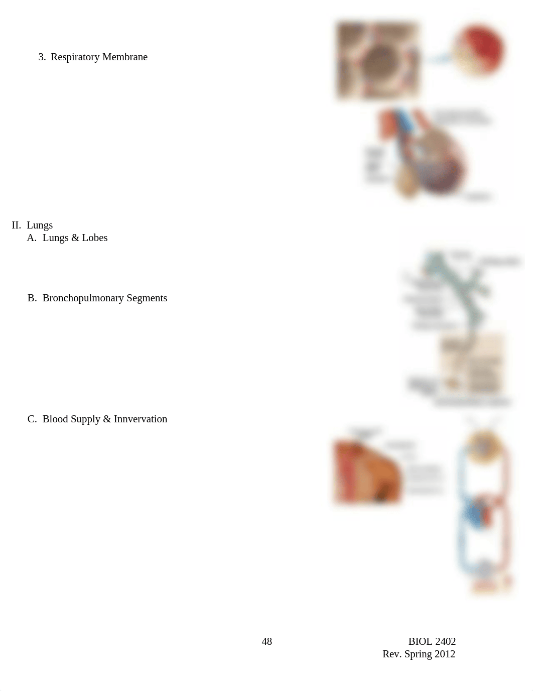 BIOL 2402 NOTES Respiratory System 031912_dlnj0d2tahj_page4