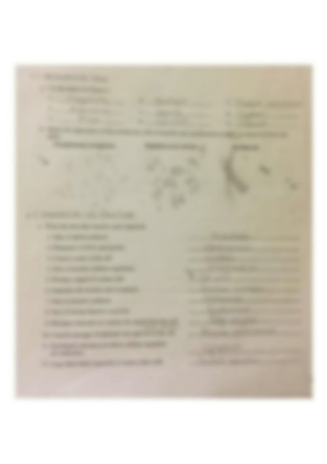 The Cell: Prokaryotes & Eukaryotes_dlnnsv6q31u_page1