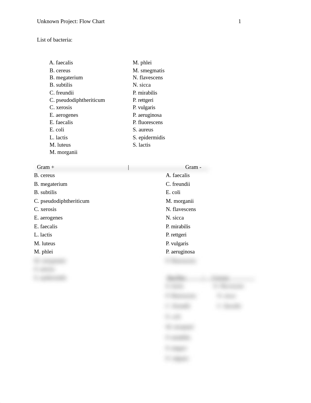 Unknown Project_ Flow Chart_.docx_dlno4rgwtbn_page1