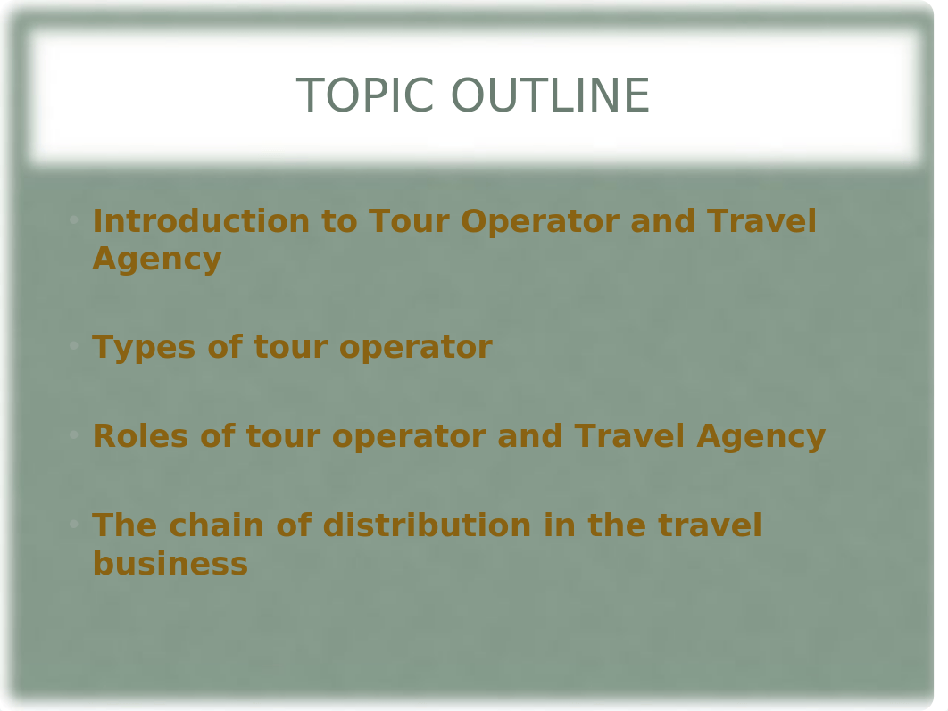 Tour Operator  Travel Agency.pptx_dlnqpux0bhz_page3