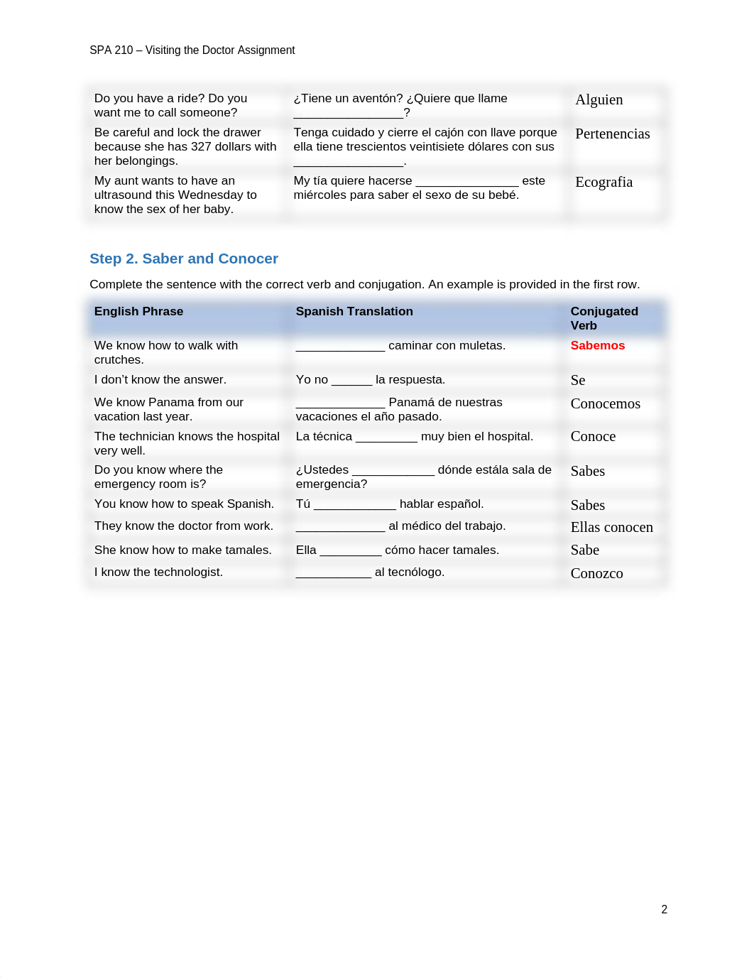 SPA210_W5_Visiting_Doctor_Assignment.docx_dlo5vf0zo63_page2