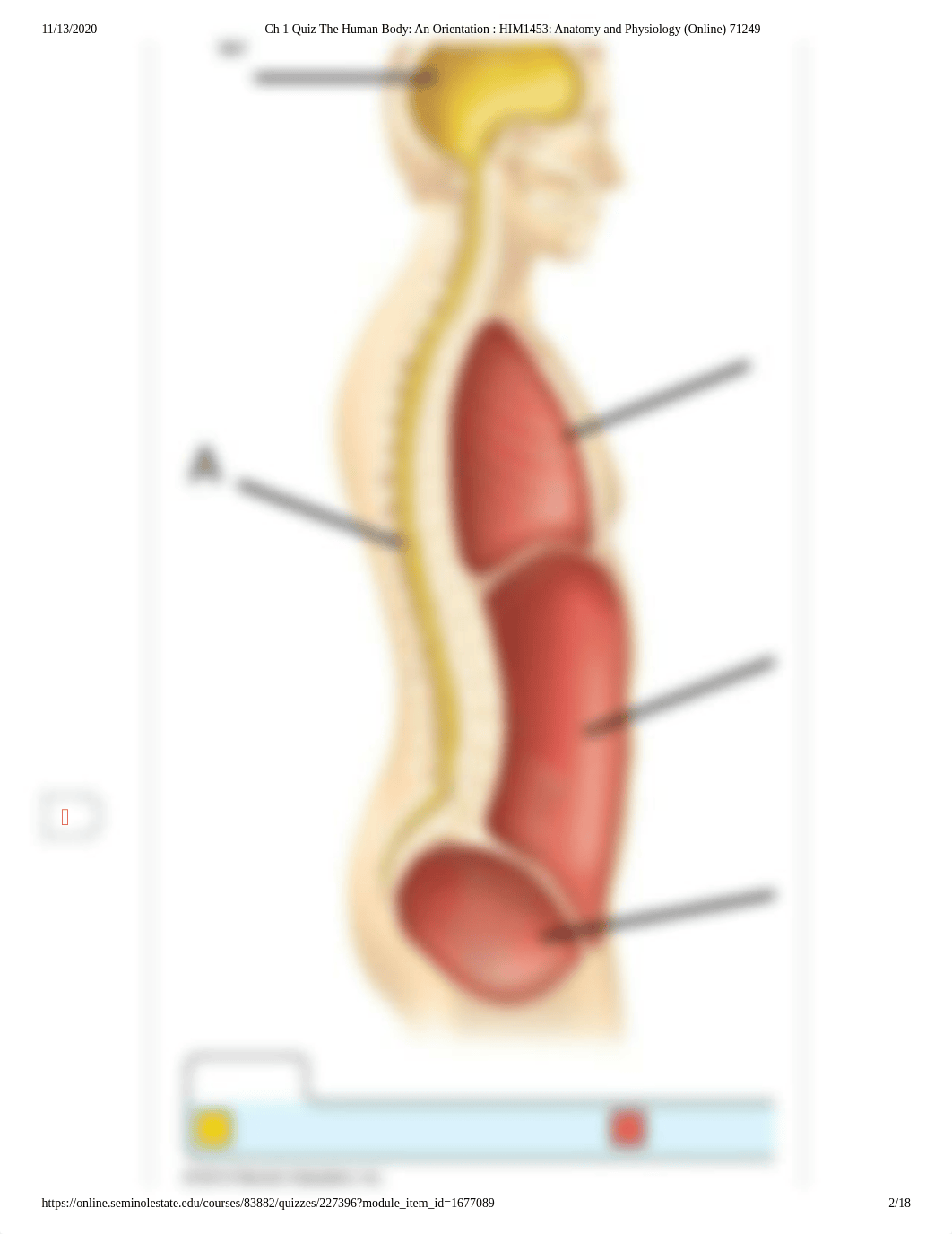 Ch 1 Quiz The Human Body_ An Orientation _ HIM1453_ Anatomy and Physiology (Online) 71249.pdf_dlo8ld9vr05_page2