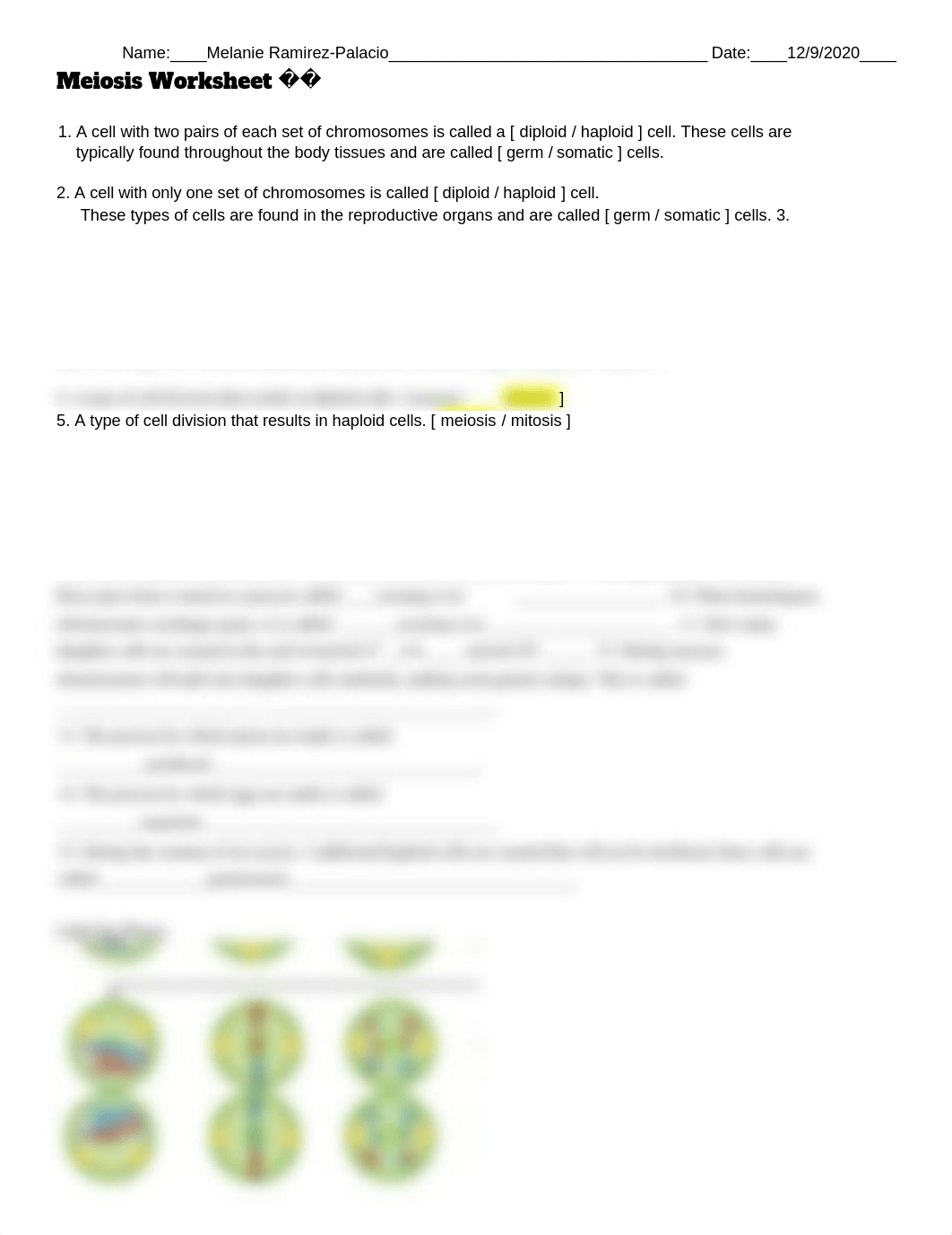 Meiosis_Worksheet_dlo8v13mpuk_page1