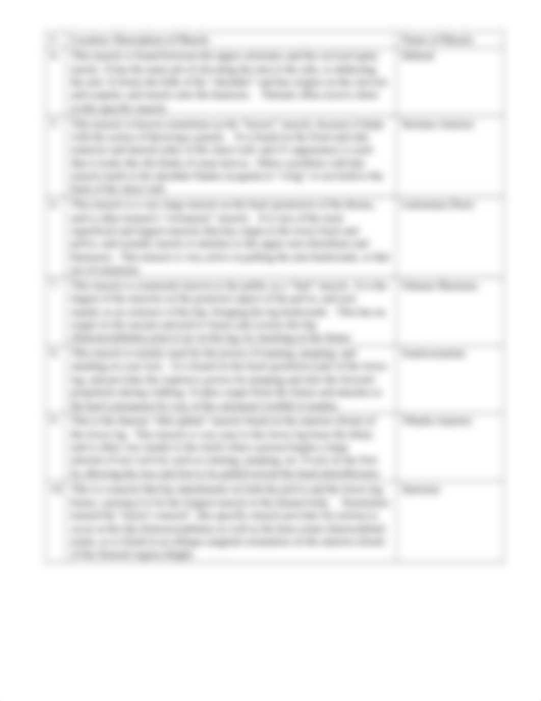 Major Muscles worksheet.docx_dlocw49pp7k_page2