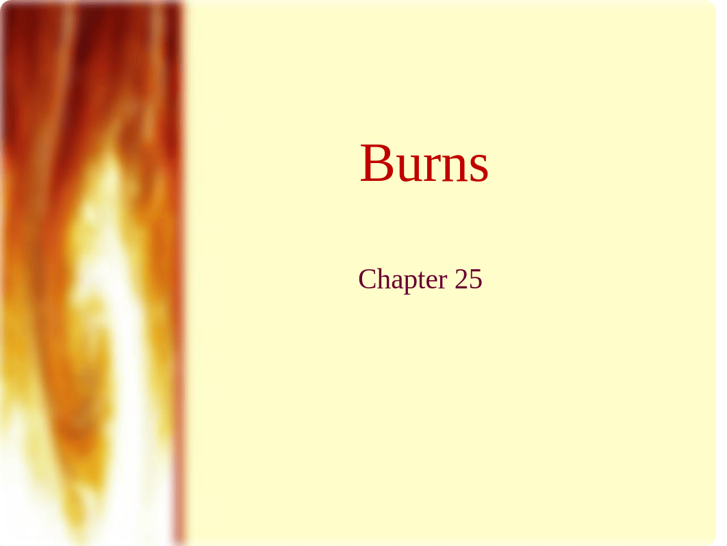 Burn Powerpoint.pptx_dlom9nrrofx_page1