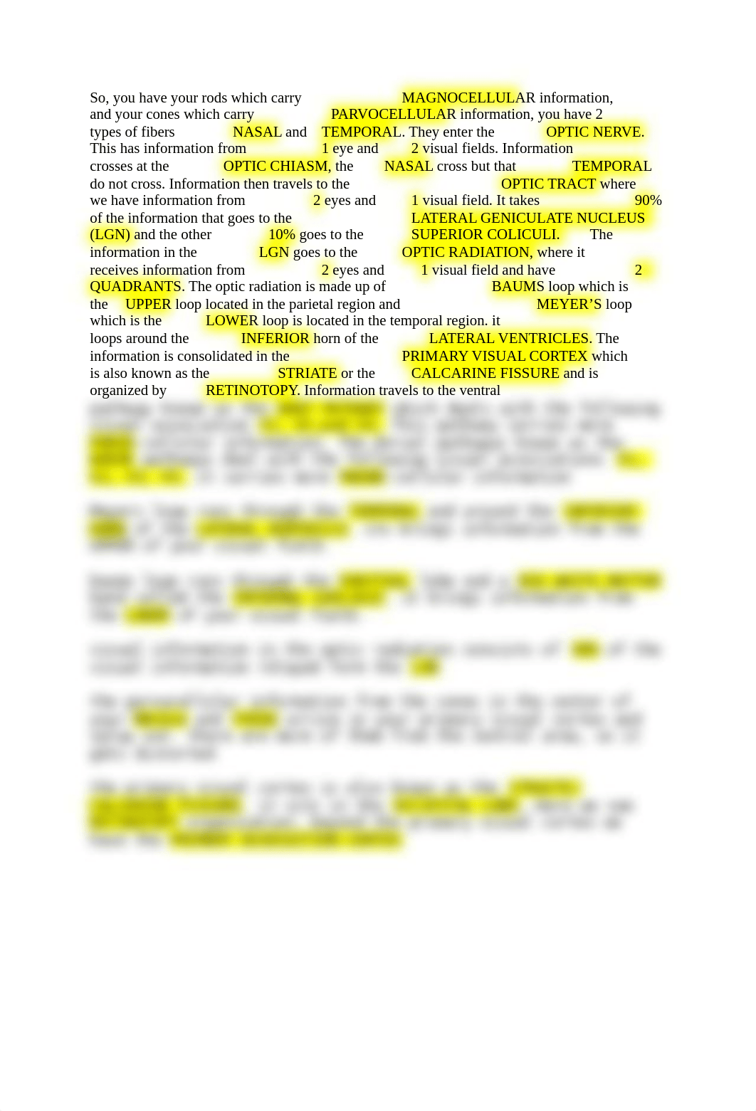 VISUAL SYSTEM PATHWAY.docx_dlon1upa7w4_page1