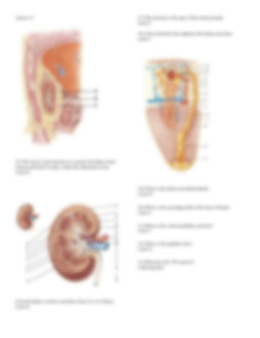 lab exam 2.docx_dlorl5uzmod_page3