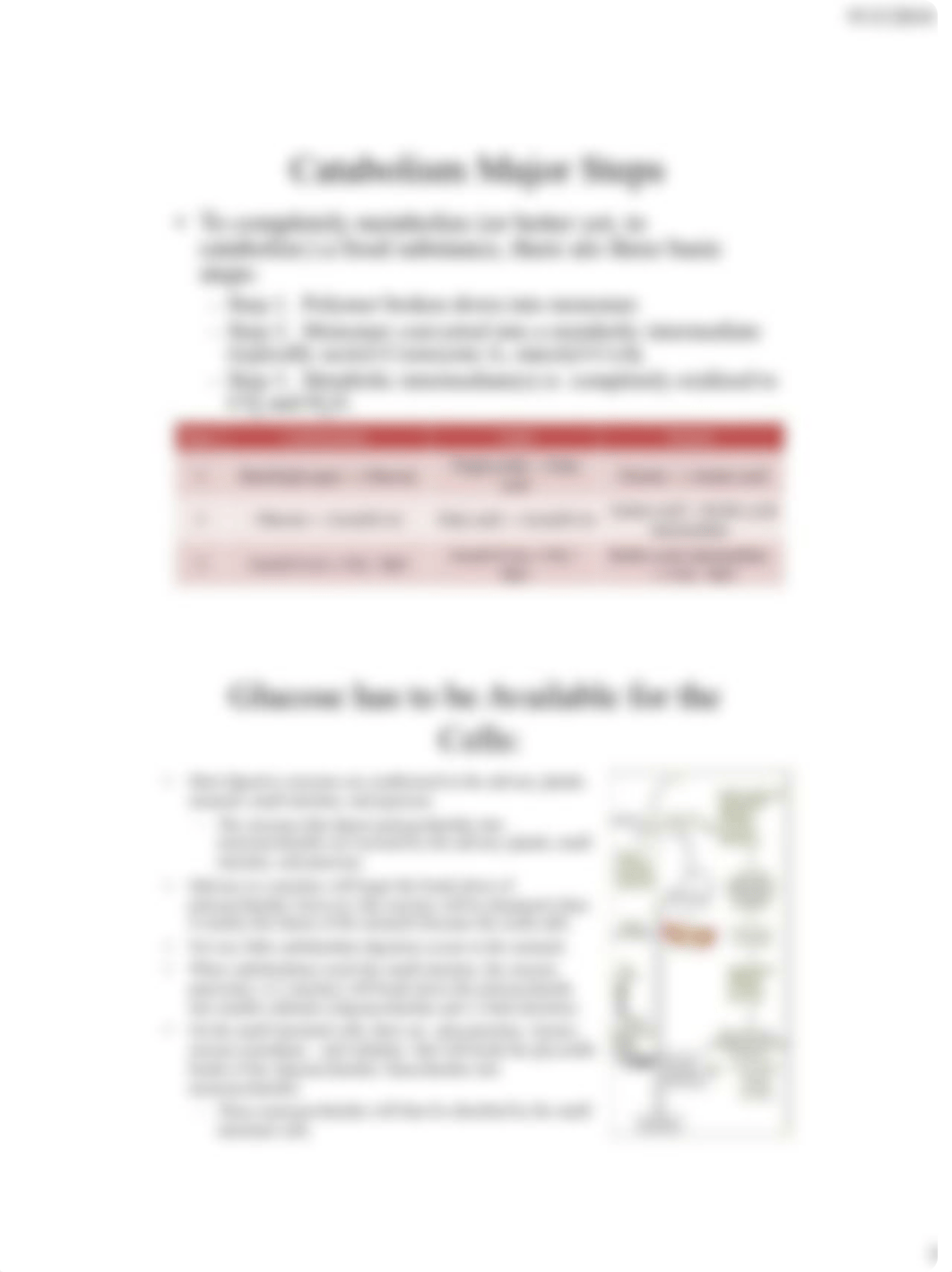 Chapter 6 Cellular Respiration.pdf_dlostw44n7h_page4