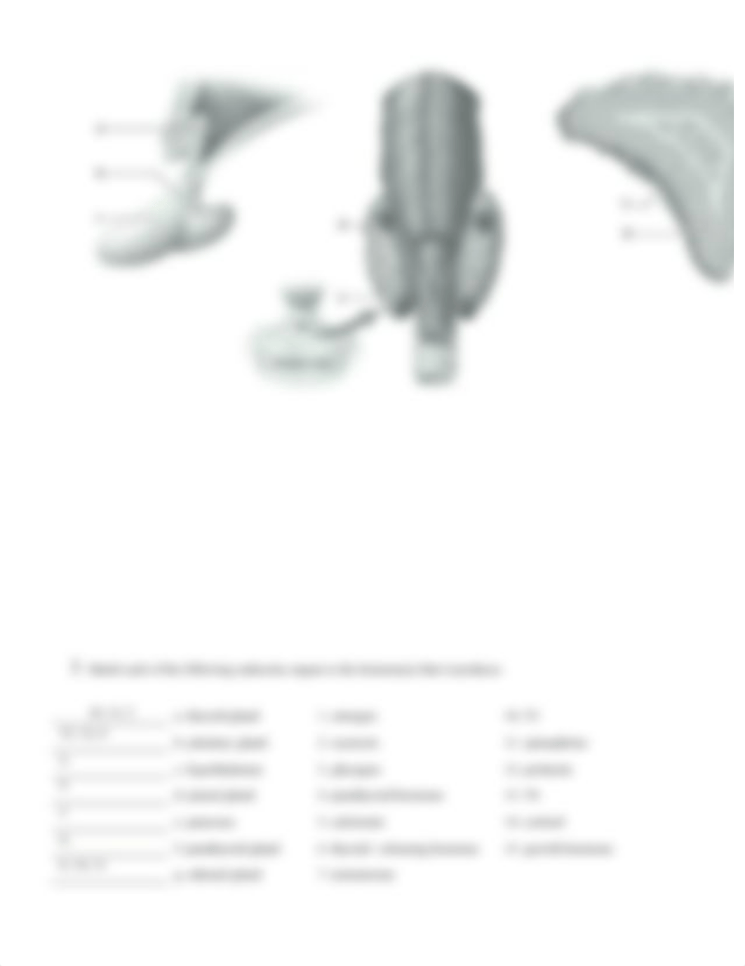 Unit 7 laboratory exercise 19_dlotg4t9hqr_page3