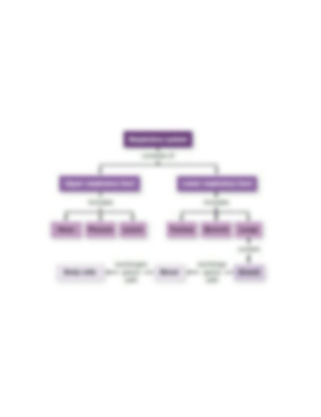 MAPA CONCEPTUAL SISTEMA RESPIRATORIO.png_dloxjhyj73z_page1