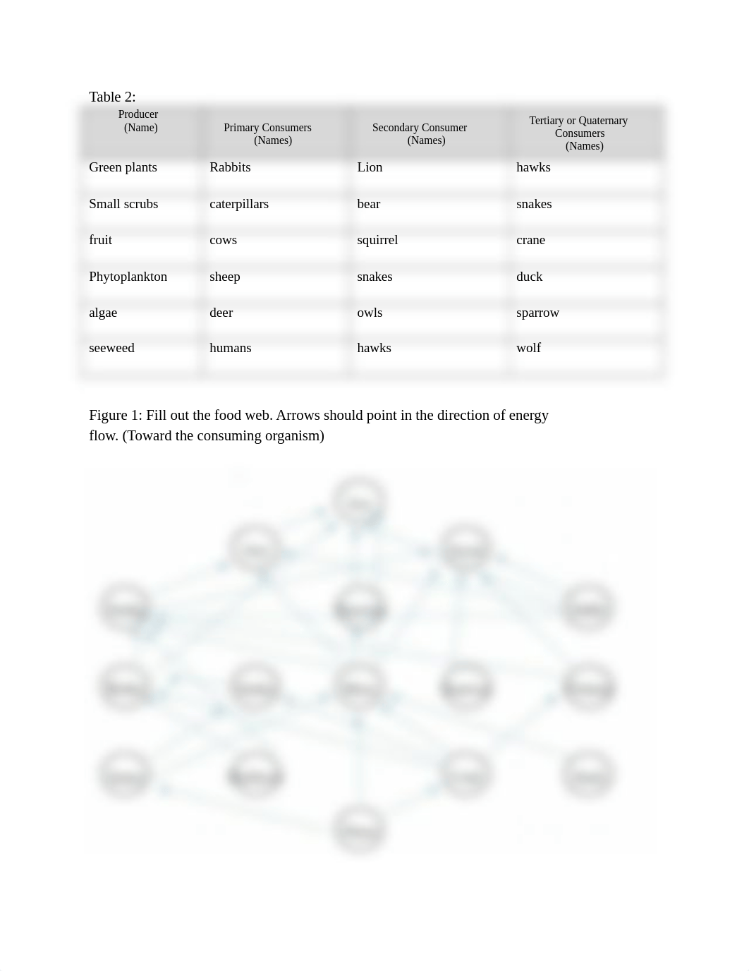 BIO 105 lab 13 Assignment Sheet.docx_dloxo1xjons_page2