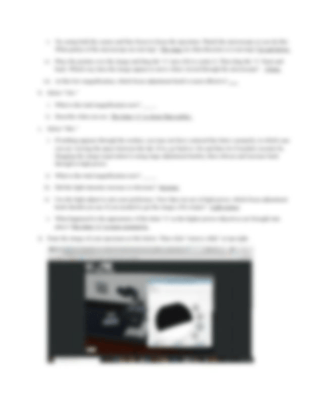 Virtual Microscope worksheet(3).docx_dlp6jombnp1_page3