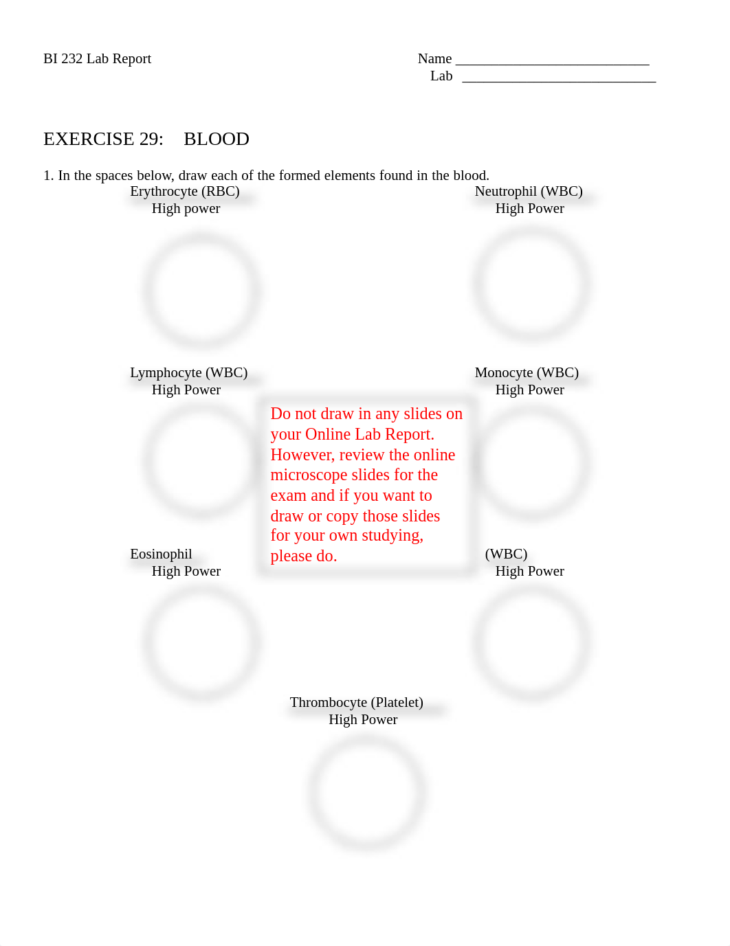 BI 232 EX 29 Online Blood Lab.pdf_dlpa33h1272_page1