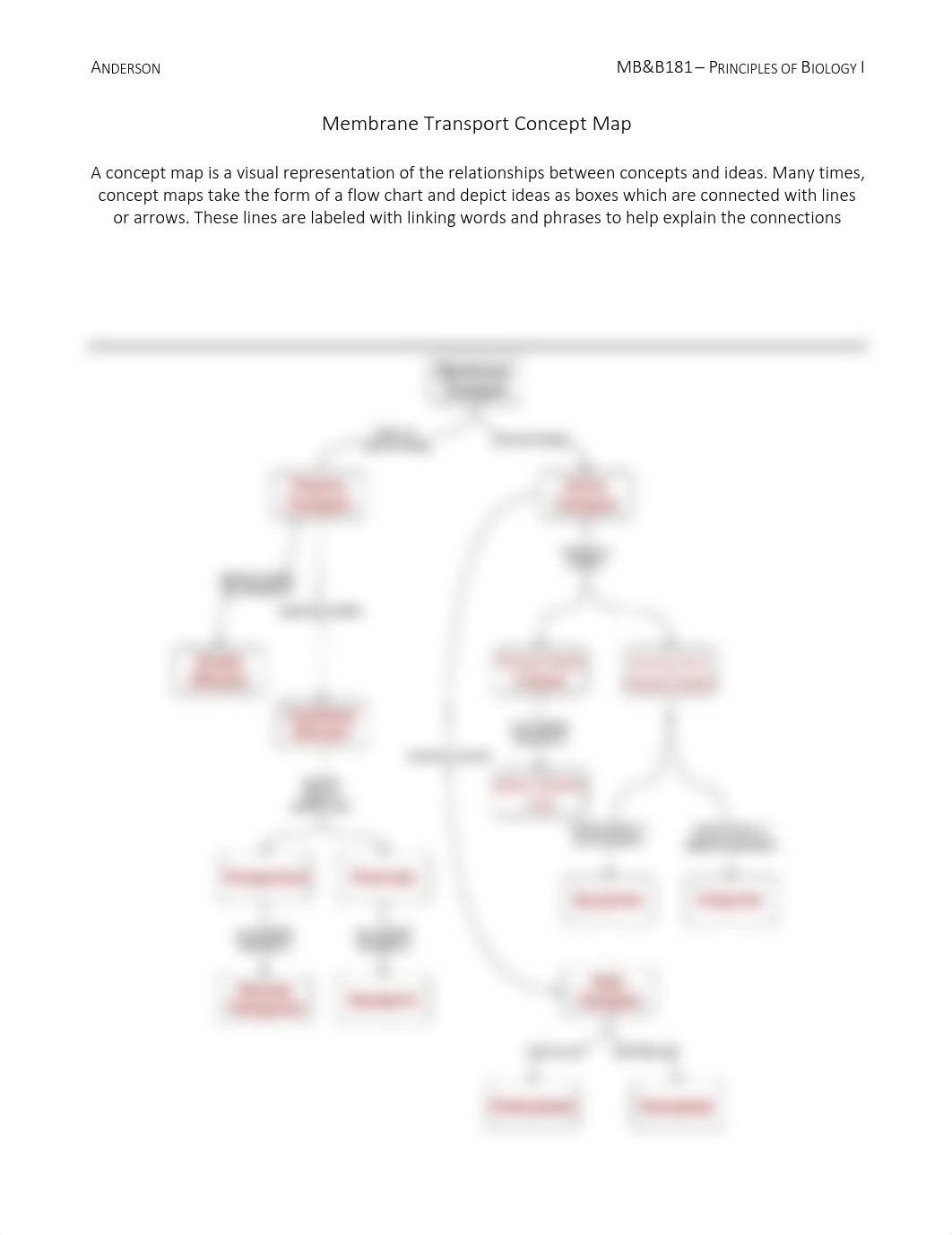 Membrane Transport Concept Map_KEY (1).pdf_dlpb0c2b71w_page1