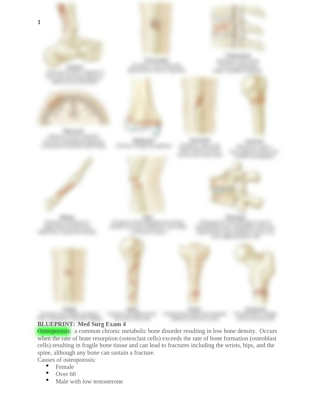 BLUEPRINT Med Surg Week 12.odt_dlpre9m2719_page1