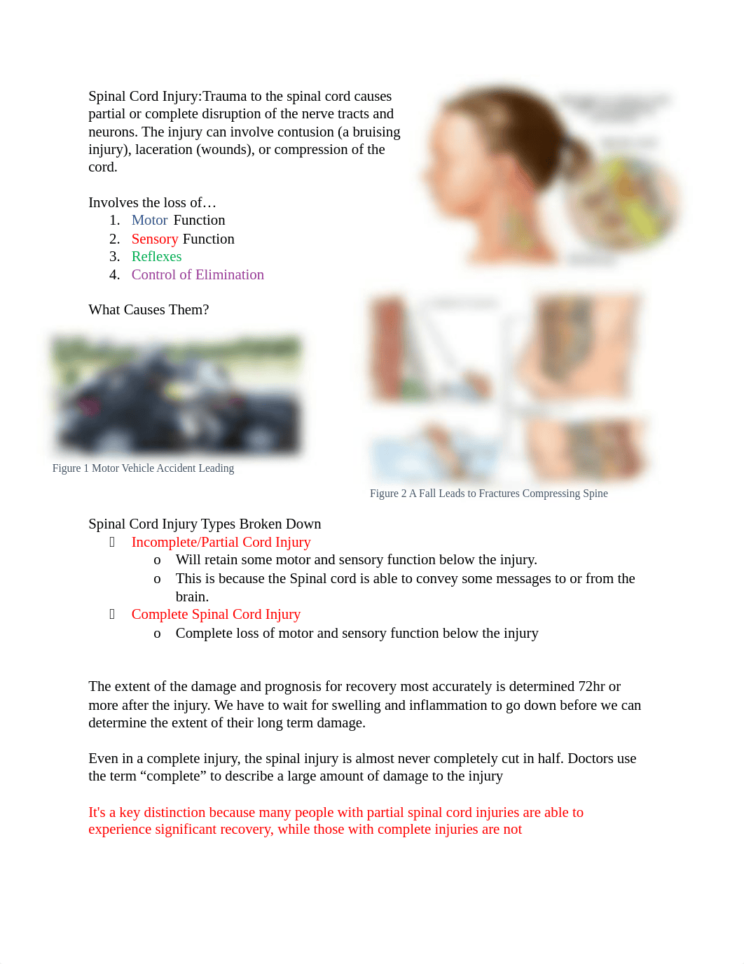 Spinal Cord Injury.docx_dlptymb0lwe_page1