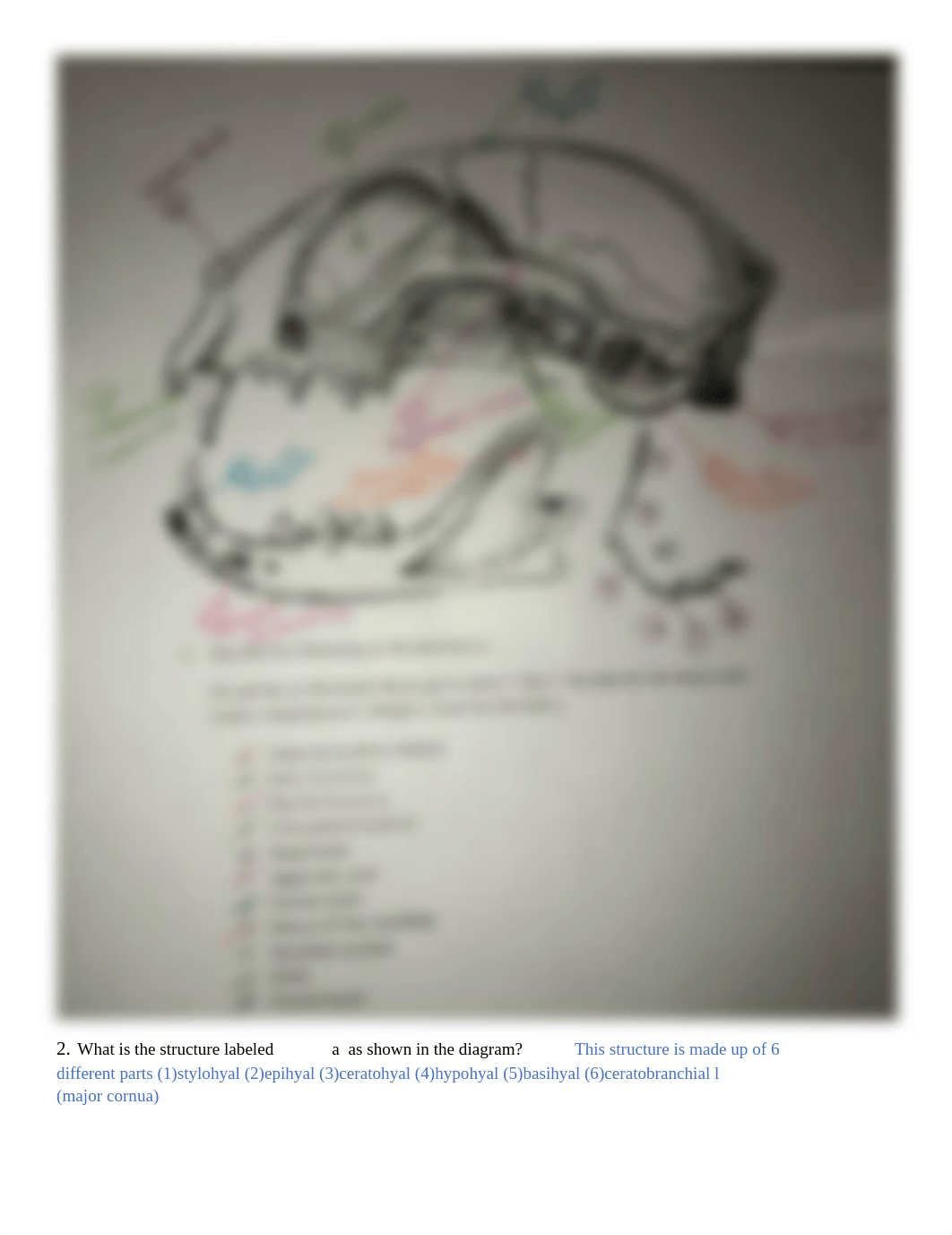 BIO 172EAssignment 3.3.docx_dlpz2bmpf5r_page3