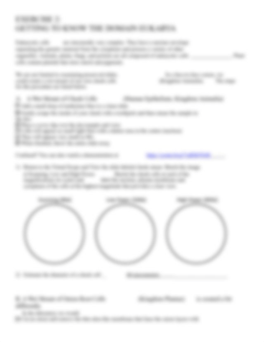 Module 2 LAB 1 Cell Structure and Function (1) (1).docx_dlq4nwz7nza_page3