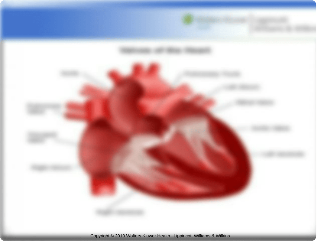 N200 week+5+activity+exercise+cardiac.ppt_dlqgqwzz7je_page5