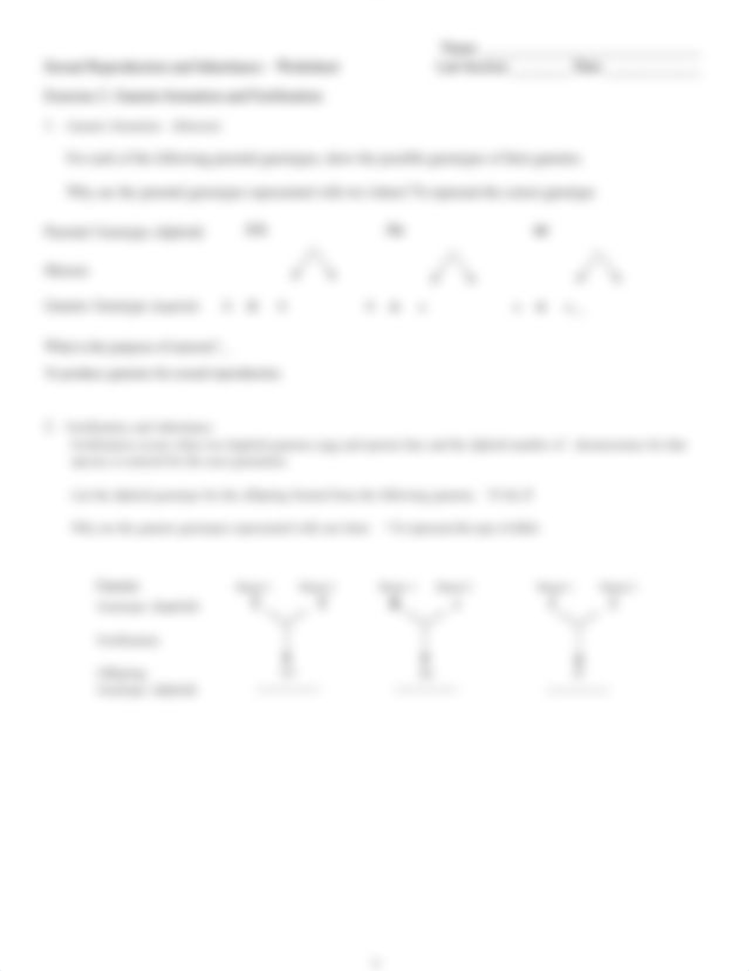 Meiosis and Inheritance Worksheet-Virtual.docx_dlqhrvh4o4m_page3