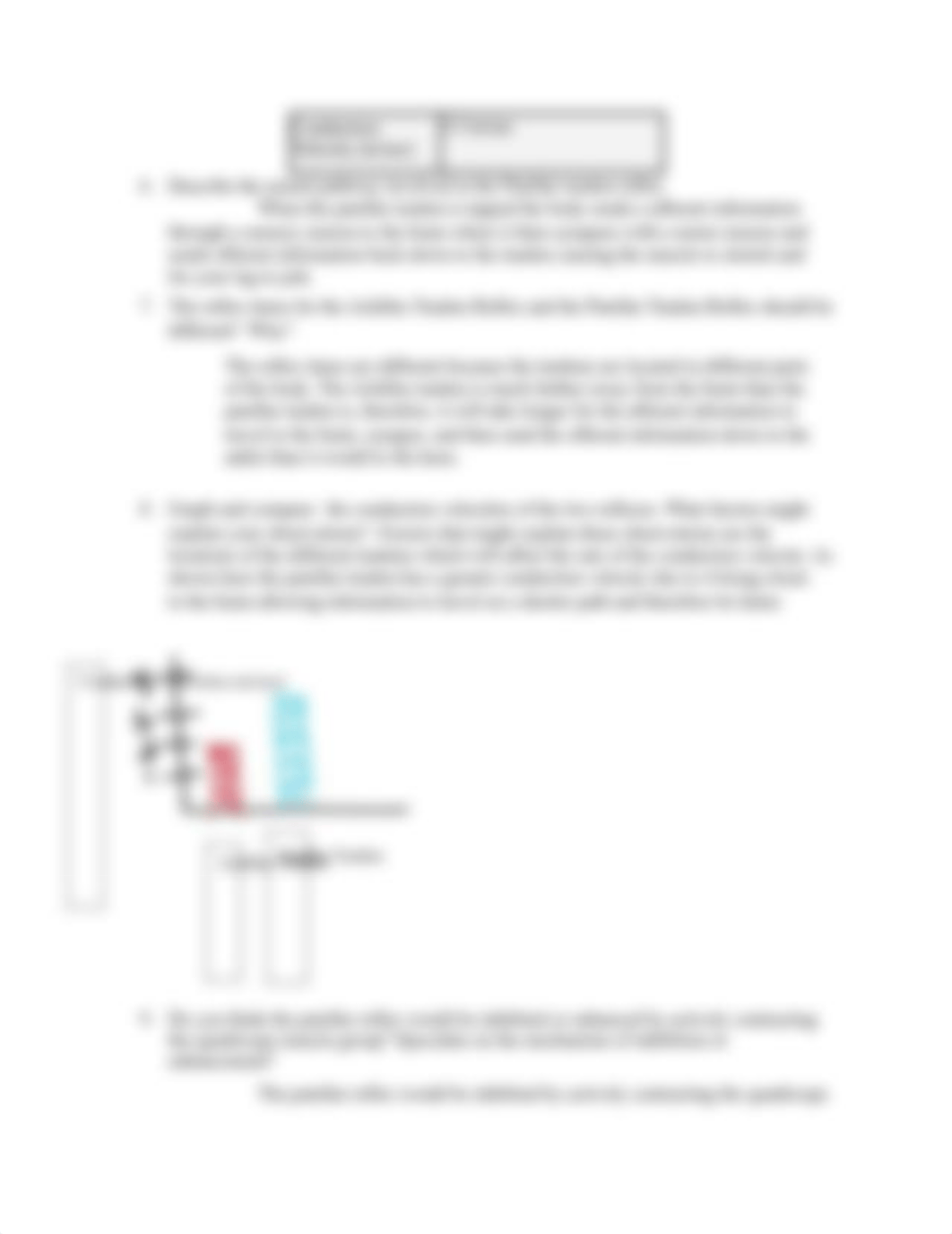 ReflexLabWorksheet.docx_dlqjtap3iys_page3