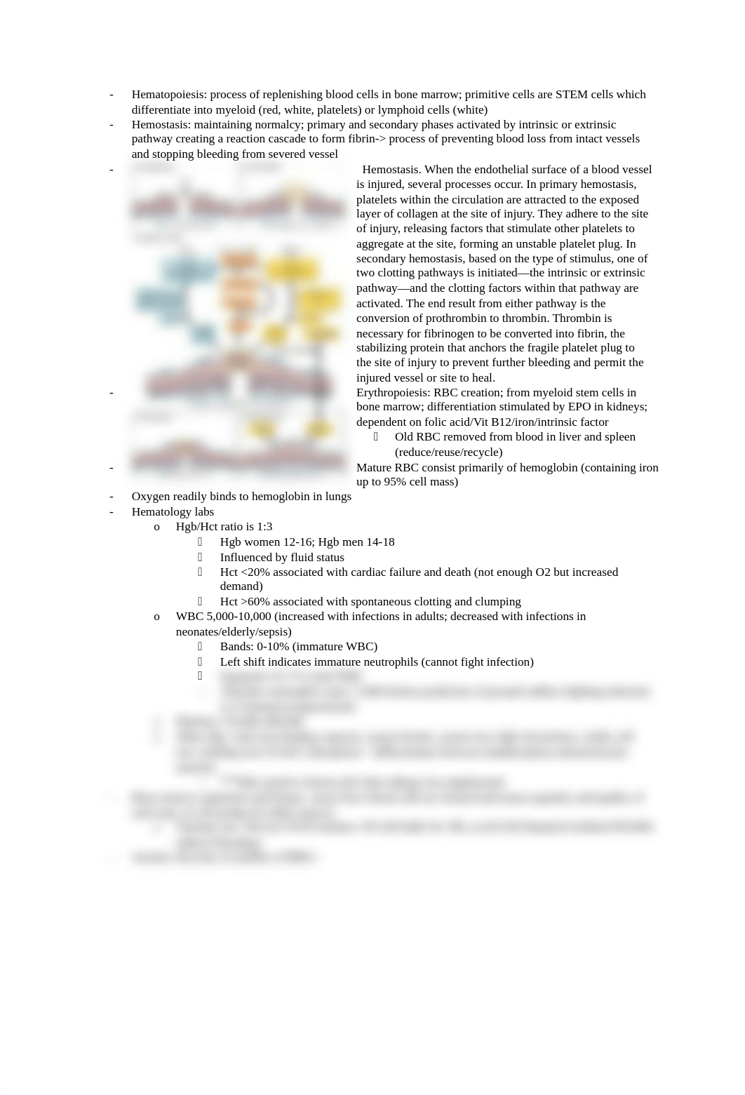 Exam 2.docx_dlqznr39qc1_page2