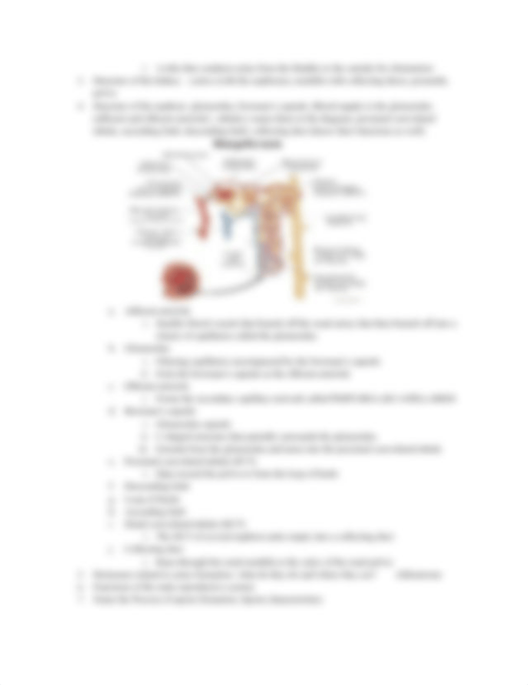 Quiz 8 Study Guide.docx_dlr9eanx15d_page2