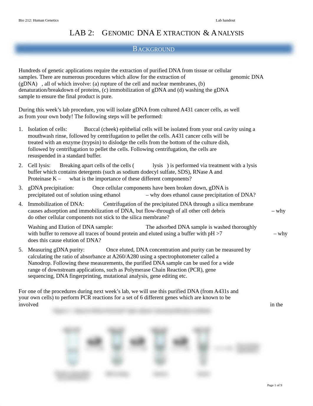 Genetics Lab 2.docx_dlrpdmwl4wd_page1