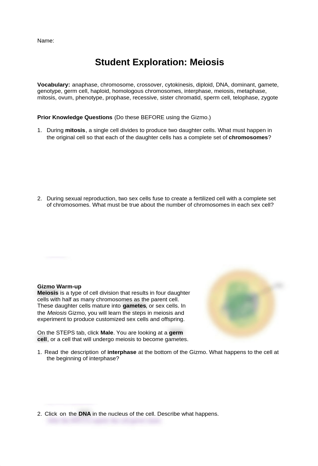 AC_Lab10_parttwo_Meiosis_bkelso.pdf_dlrzg8lca0w_page1